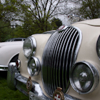 British Car Show, Van Dusen Gardens, Vancouver B.C.